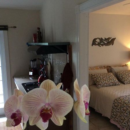 Mediteranean Style Ohana Rental / Garden Bungalow In Pahoa Honolulu Landing Ngoại thất bức ảnh