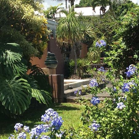 Mediteranean Style Ohana Rental / Garden Bungalow In Pahoa Honolulu Landing Ngoại thất bức ảnh