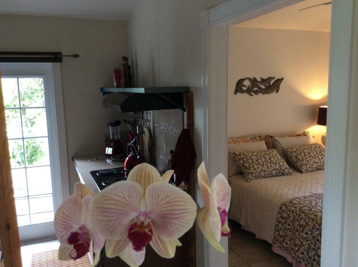 Mediteranean Style Ohana Rental / Garden Bungalow In Pahoa Honolulu Landing Ngoại thất bức ảnh