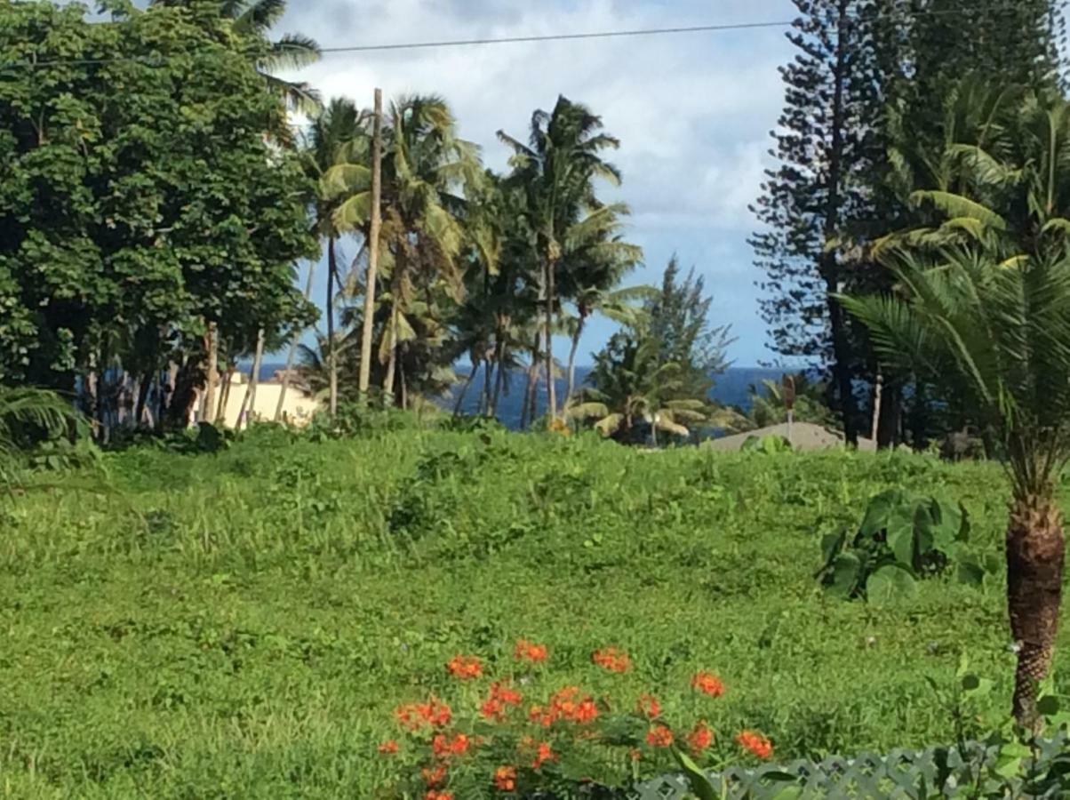 Mediteranean Style Ohana Rental / Garden Bungalow In Pahoa Honolulu Landing Ngoại thất bức ảnh