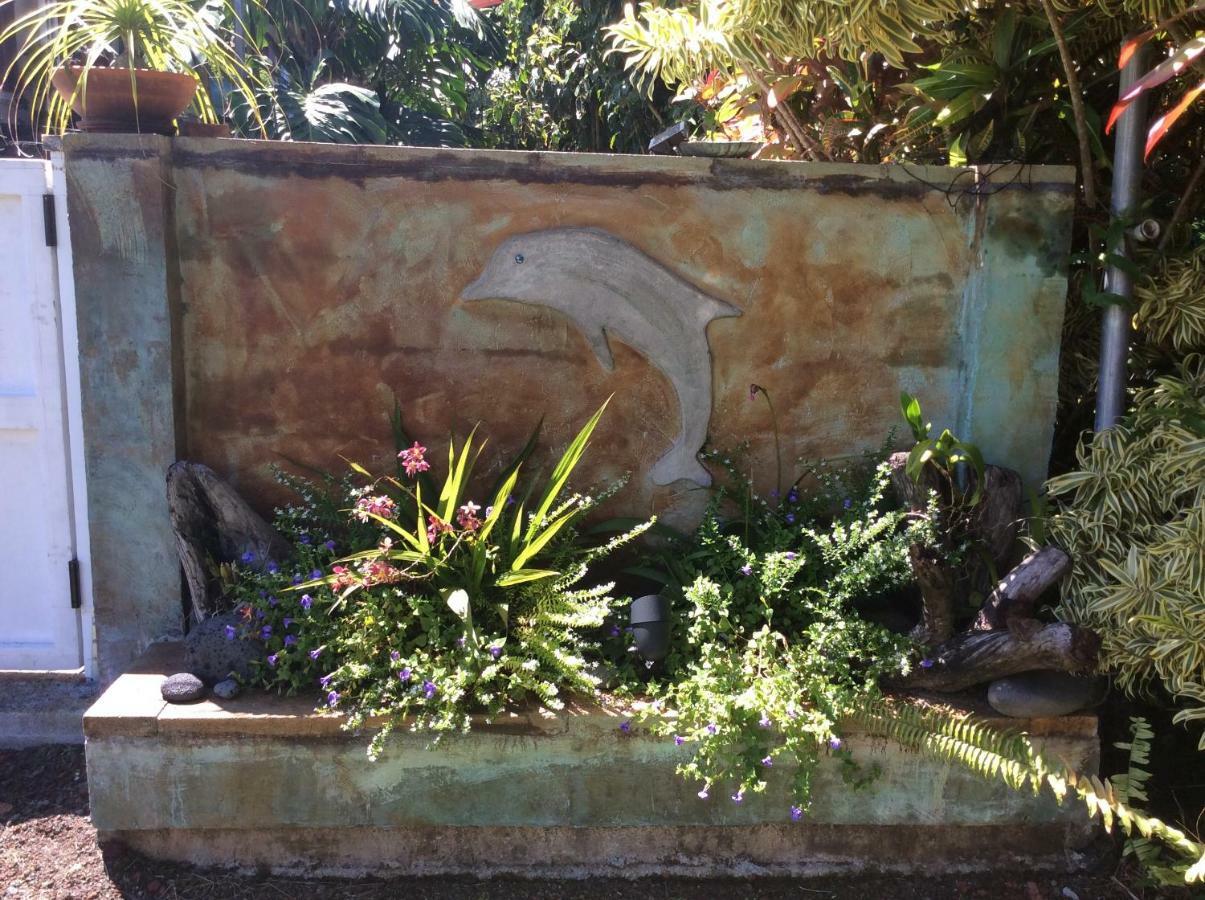 Mediteranean Style Ohana Rental / Garden Bungalow In Pahoa Honolulu Landing Ngoại thất bức ảnh