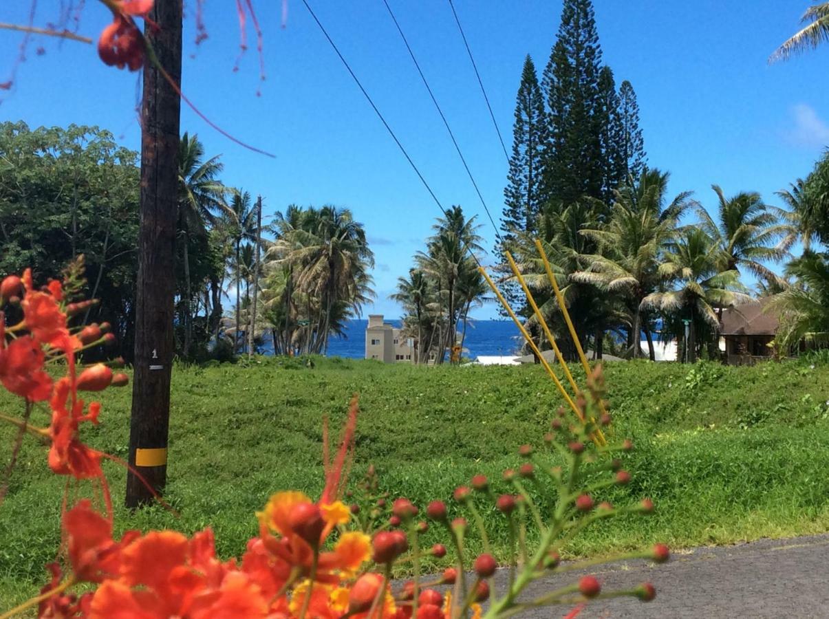 Mediteranean Style Ohana Rental / Garden Bungalow In Pahoa Honolulu Landing Ngoại thất bức ảnh